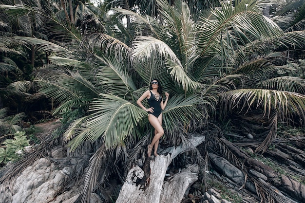 Attraktives Mädchen mit dunklem Haar in schwarzem Badeanzug und schwarzer Brille, das in der Nähe großer Palmen posiert und auf einem alten Baum steht