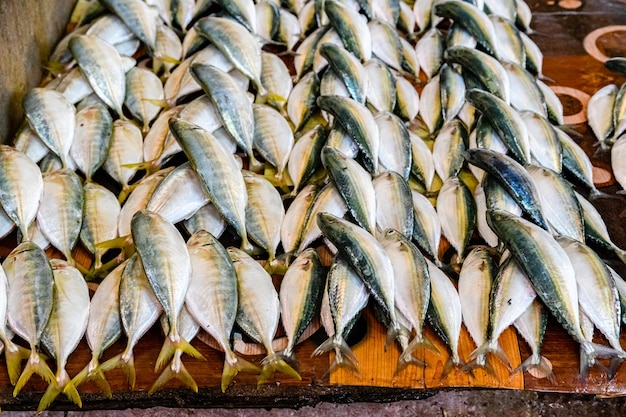 Atum à venda no mercado de peixes