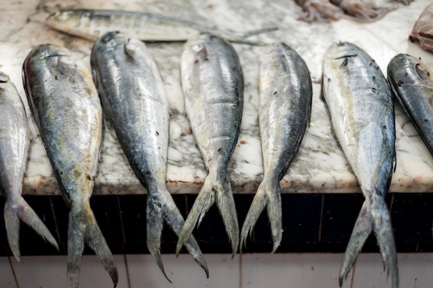 Atum fresco manchado em uma bandeja no mercado