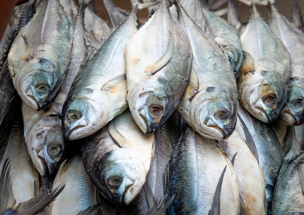 Atum tailandês fresco vendido no mercado de frutos do mar