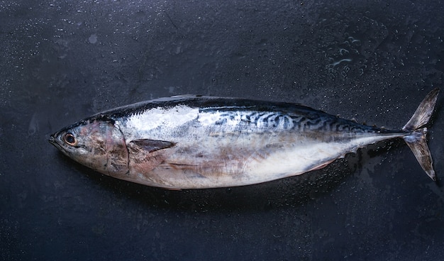 Atún fresco crudo