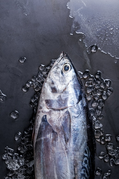 Atún fresco crudo