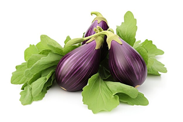 Aubergine auf weißem Hintergrund