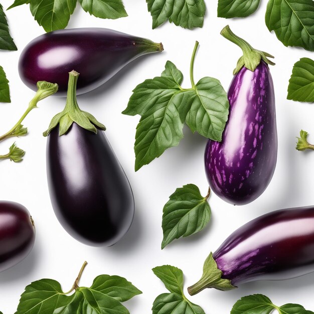 Aubergine auf weißem Papierhintergrund