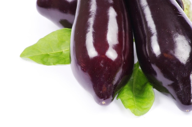 Aubergine