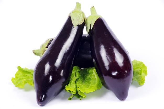 Aubergine