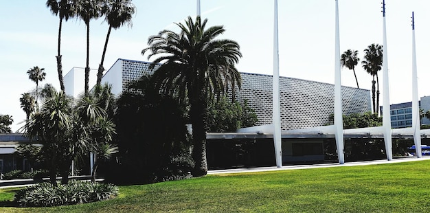 Foto auditorio cívico de santa mónica y árboles contra el cielo