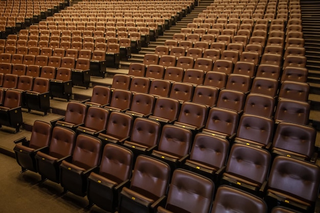 Auditorio de teatro o cine con asientos acolchados vacíos