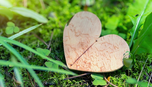 Auf dem Gras liegt ein herzförmiges Holzblatt.