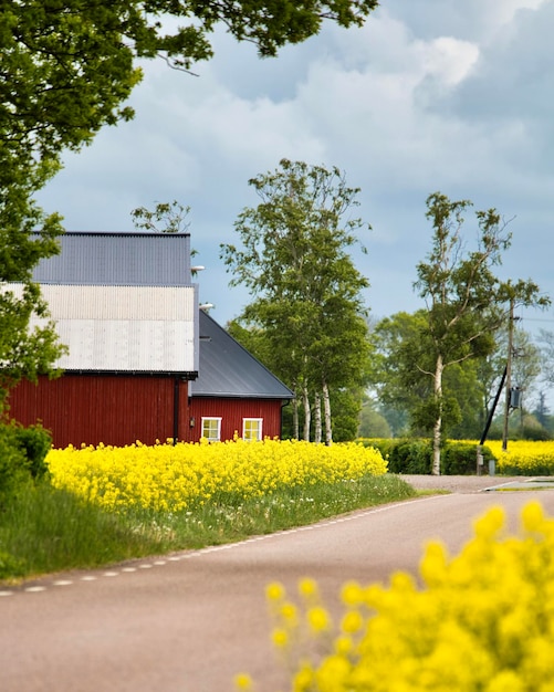 Foto auf dem land in skåne, schweden