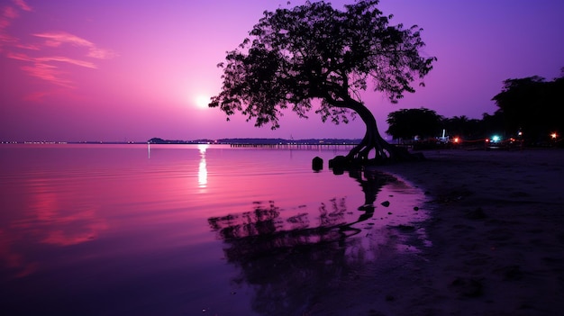 auf dem Strand bei Sonnenuntergang Baum