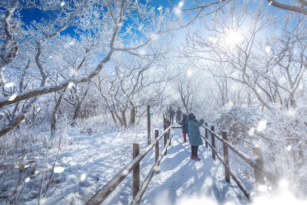 Auf den schneebedeckten Deogyusan-Bergen an einem klaren Tag und dem vom Wind verwehten Schnee im Winter in Südkorea