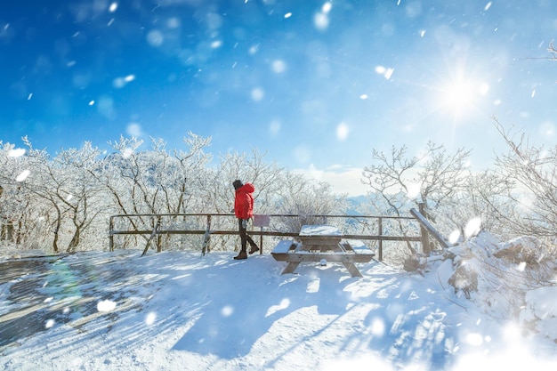 Auf den schneebedeckten Deogyusan-Bergen an einem klaren Tag und dem vom Wind verwehten Schnee im Winter in Südkorea