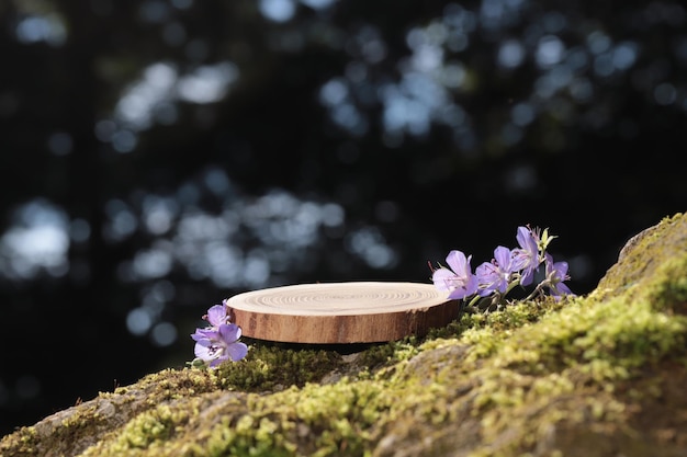 Auf den Steinen im Wald liegt eine runde geschnitzte Holzplatte mit zarten lila Blüten. Bokeh