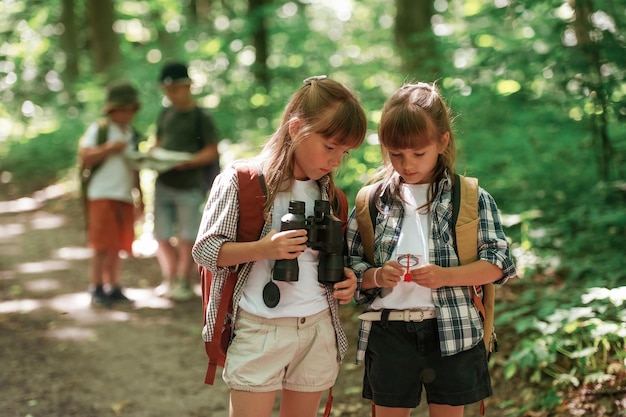 Auf der Suche nach dem Weg Kinder im Wald am Sommertag zusammen