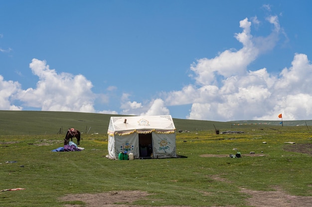 Auf der Wiese am Qinghai-See gibt es blauen Himmel und weiße Wolken am Himmel