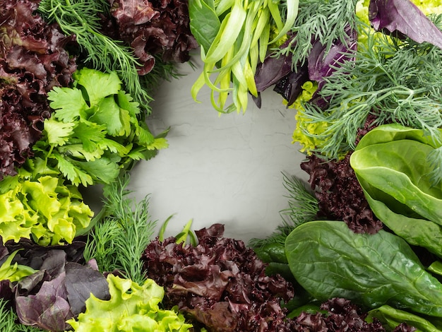 Auf einem grauen Hintergrund sind verschiedene essbare frische Grüns, Kräuter aus Grün und Lila verteilt, in der Mitte befindet sich Kopierraum