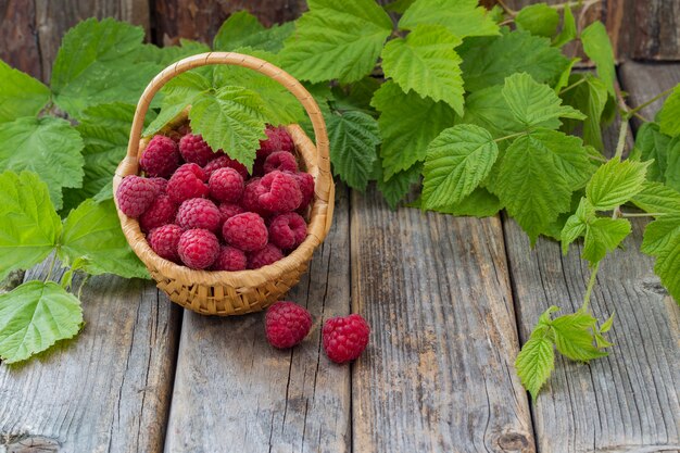 auf einem Holztisch Himbeeren in einem Korb