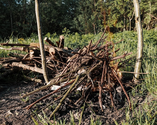 Auf einem Lagerfeuerplatz in einem Naturcamp bricht ein Feuer aus einem Haufen Reisig aus