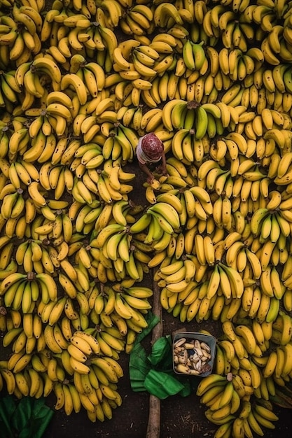 Auf einem Markt wird ein Bündel Bananen ausgestellt.