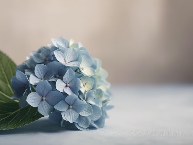 Auf einem Tisch mit hellem Hintergrund steht eine blaue Blume.