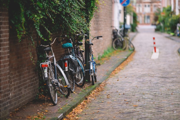 Auf einer Straße in den Niederlanden geparkte Fahrräder