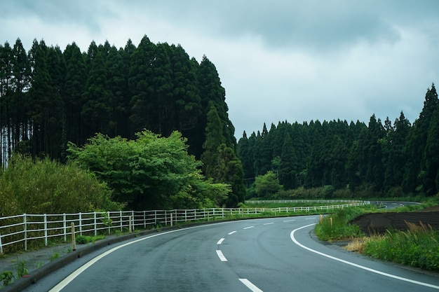 Auf gebogenen Straßenausflug nach dem Regen durch lokale grüne szenische Route im Frühling