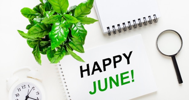 Auf hellem Hintergrund gibt es einen weißen Wecker, eine Lupe, eine grüne Pflanze und ein Notizbuch mit den Worten HAPPY JUNE.