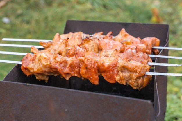 Auf holzkohle gegrillter schweinekebab am spieß in der natur zubereitet