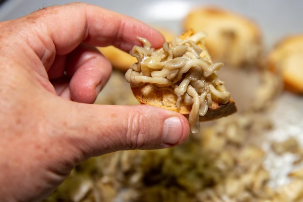 Auf Toast sautierter Pilz Pleurotus ostreatus