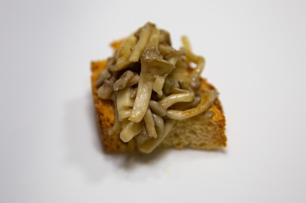 Auf Toast sautierter Pilz Pleurotus ostreatus