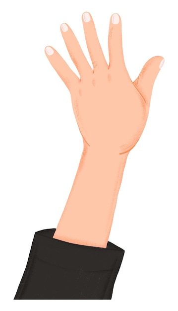 Aufgehobene Hand png Menschenrechts-Aufkleber transparenter Hintergrund