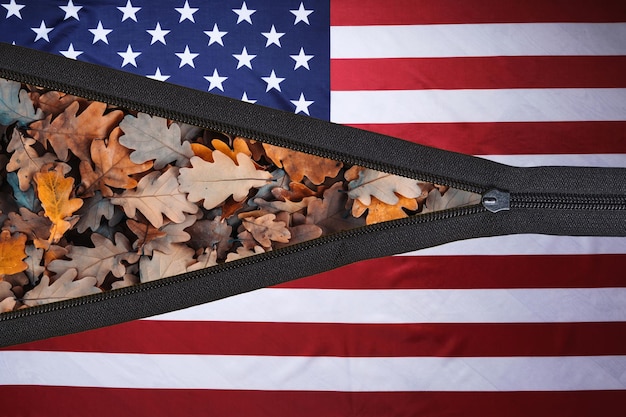 Aufgeknöpftes Zipperbanner Vereinigte Staaten von Amerika und Herbstlaub, das von der Eiche auf den Hintergrund gefallen ist