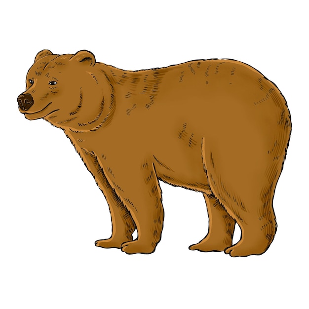 Aufkleber-Designelement für Grizzlybären