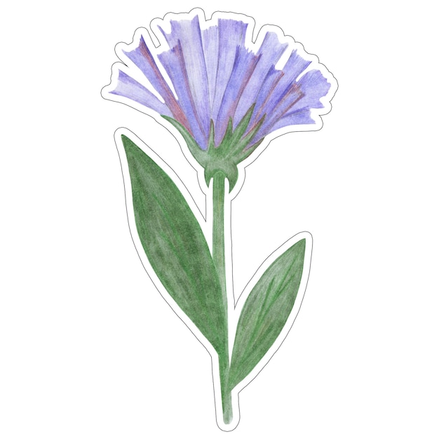 Aufkleber mit blauer Blume und grünen Blättern isoliert auf weißem Hintergrund. Blaues Blumenelement, gezeichnet mit Buntstift