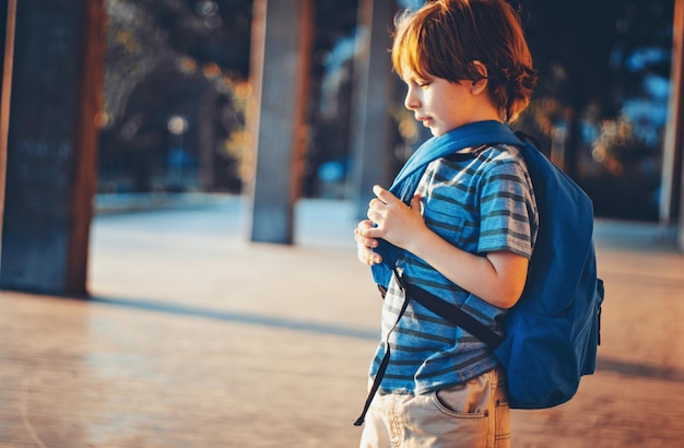 Aufschrift zurück in die Schule Elemente des Bildungsplakates zum Verkauf