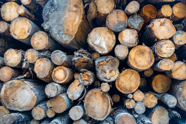 Aufstapelte Holzstämme an einer schlammigen Straße im italienischen Wald in den Dolomiten Europas