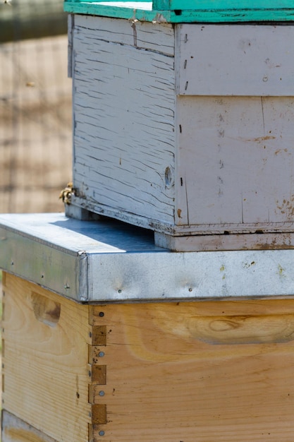 Aufstellung von Bienenstöcken am neuen Standort.