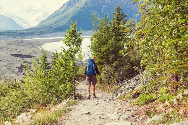 Aufstieg zum Donoho Peak, Alaska