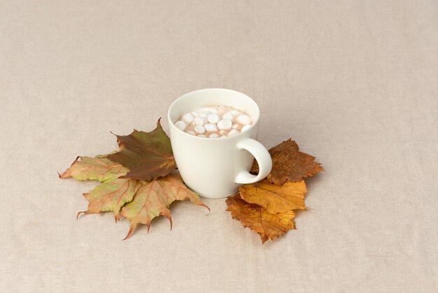 Aufwärmen mit einer Tasse Kakao