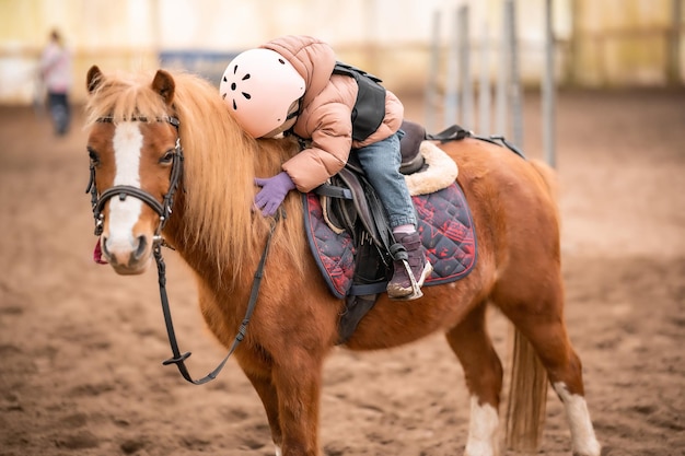 Aula de equitação de criança menina de três anos monta um pônei e faz exercícios