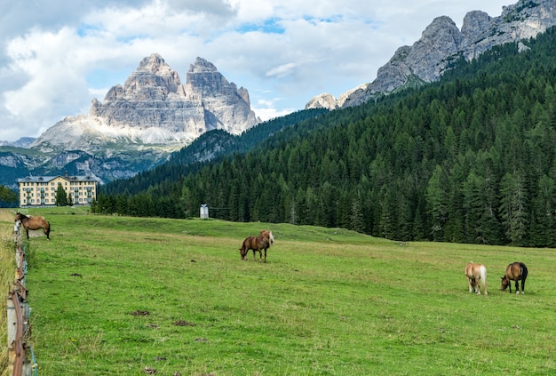 Auronzo-Bergdolomiten mit Pferden