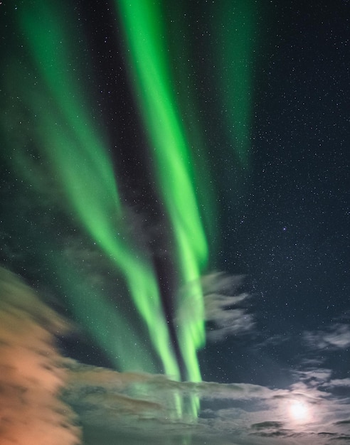 Aurora boreal, aurora boreal com a lua no céu noturno