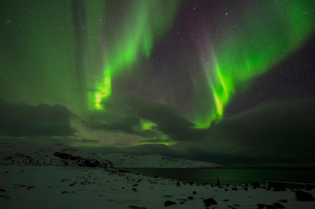 Aurora boreal. Aurora boreal. Teriberka. Região de Murmansk. Rússia