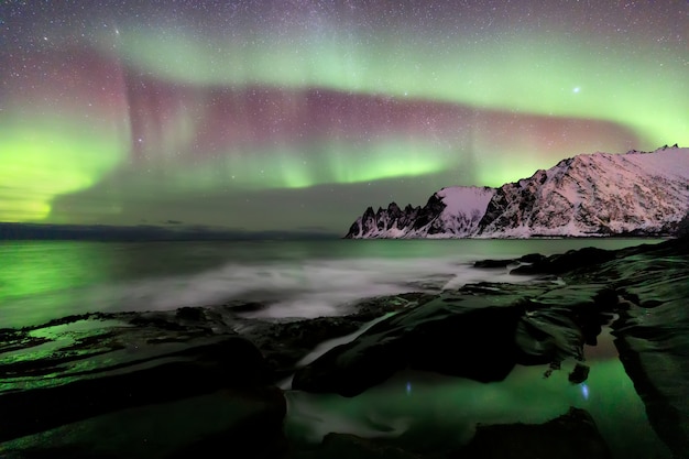 Aurora boreal sobre la playa de Ersfjord. Isla de Senja en la noche, Europa Isla de Senja en la región de Troms del norte de Noruega. Tiro de larga exposición.