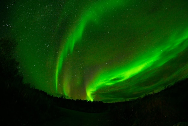 La aurora boreal verde en el cielo.