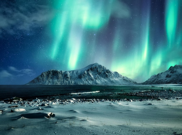 Aurora Borealis, Nordlichter über Schneegebirge an der Küste am Strand von Skagsanden, Lofoten, Norwegen