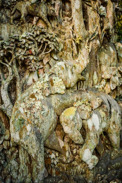 Aus baumstämmen geschnitzte tierfiguren in thailand