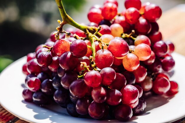 Aus der Nähe ein Bündel von leuchtend roten braunen saftigen reifen Trauben Beeren gesunde süße Früchte sonnige Stimmung Vitamine gesunde Nahrung