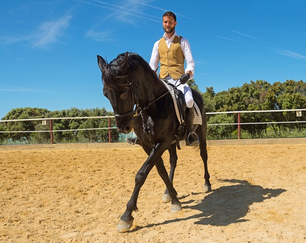 Ausbildung des Reiters